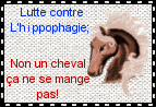 hippophagie